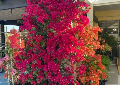 Reputable Landscaping Services