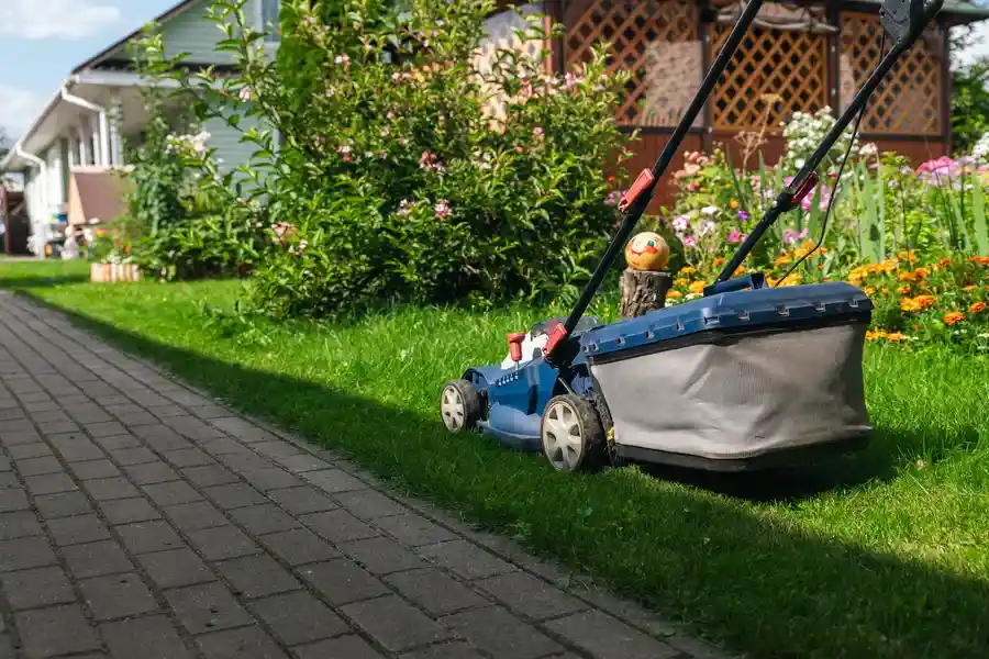 Reputable Landscape Maintenance Venice, FL Reputable Landscape Maintenance Venice, FL