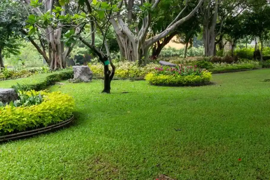 Superior Landscape Maintenance Venice, FL Superior Landscape Maintenance Venice, FL