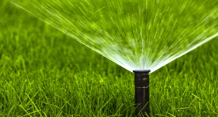 The Importance Of Professional Irrigation System Setup Venice, FL The Importance Of Professional Irrigation System Setup Venice, FL