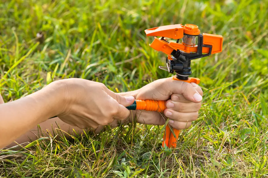 The Importance Of Professional Irrigation System Setup in Venice, FL The Importance Of Professional Irrigation System Setup in Venice, FL